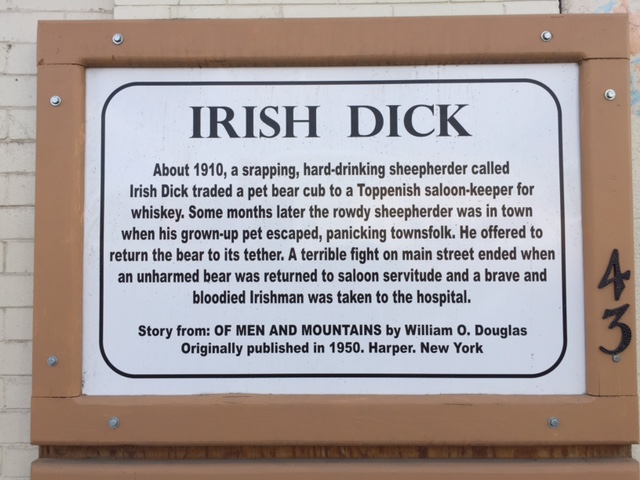 Story of Irish Dick